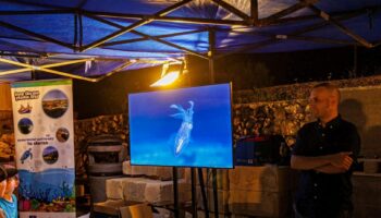 progetto-amppa-italia-malta,-estate-di-eventi-a-ghajnsielem