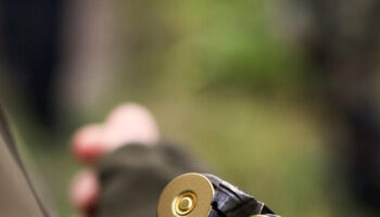 dopo-incendi-e-siccita,-in-sicilia-il-wwf-chiede-lo-stop-alla-caccia