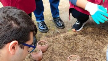 al-via-i-bandi-per-azienda-agricola-pompei-e-“horti-plinii”