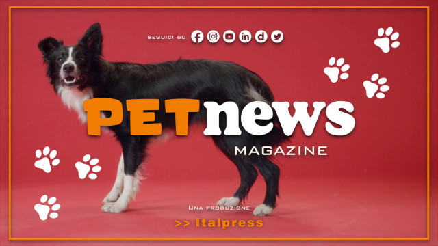 petnews-magazine-–-22/8/2023