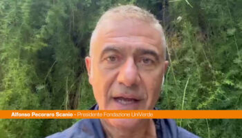 clima,-pecoraro-scanio-“dal-papa-scossa-ecologista-a-politica-inerte”