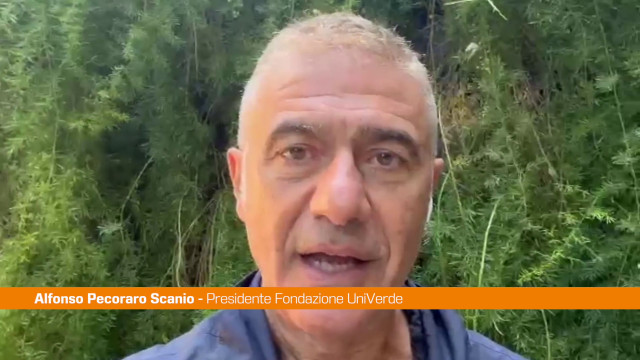 clima,-pecoraro-scanio-“dal-papa-scossa-ecologista-a-politica-inerte”