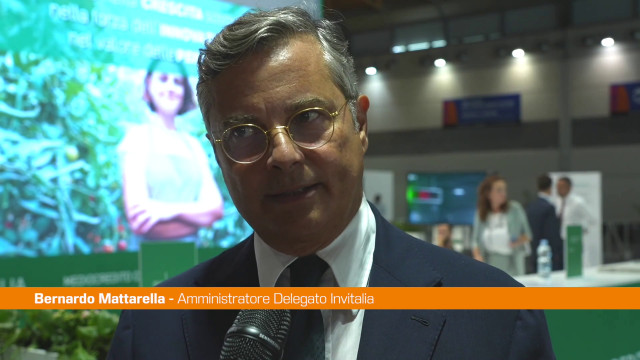 invitalia,-mattarella-“nel-2022-sostegno-a-oltre-100-mila-imprese”