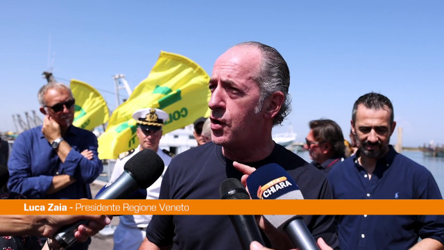 veneto,-zaia-“preoccupati-da-granchio-blu,-quest’anno-80/90%-vongole”