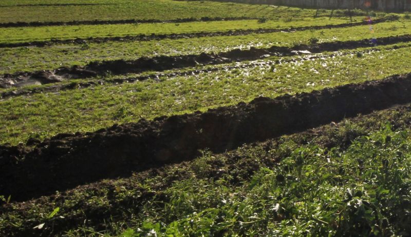 agricoltura,-satta-“ristori-per-le-zone-duramente-colpite-ad-agosto-2022-in-sardegna”