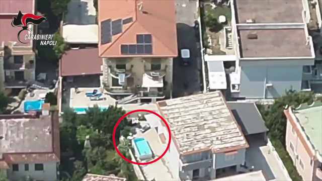 il-cagnolino-lo-tradisce,-arrestato-latitante-nel-napoletano