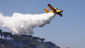 incendi-in-sicilia,-domati-diversi-roghi-ma-resta-l’allerta