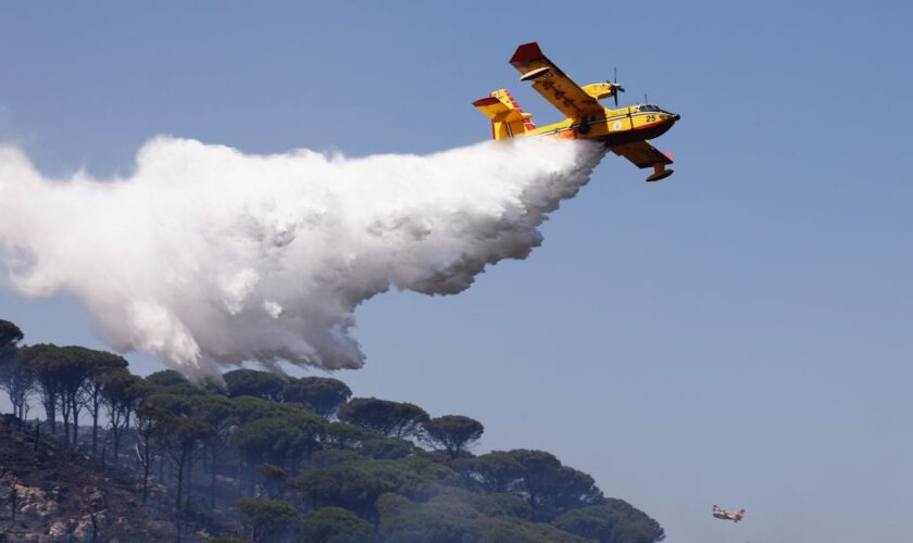 incendi-in-sicilia,-domati-diversi-roghi-ma-resta-l’allerta