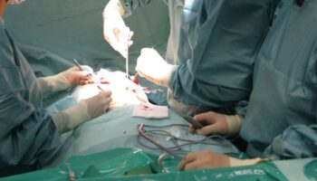 trapianti-da-record-in-sicilia,-in-pochi-giorni-salvate-19-vite