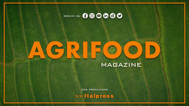 agrifood-magazine-–-30/8/2023