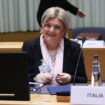 lavoro,-calderone-“nuovo-portale-ha-gia-decine-di-migliaia-di-offerte”