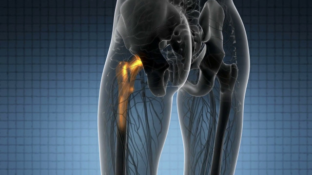 bioaction,-progetto-ue-contro-infezioni-associate-alle-protesi