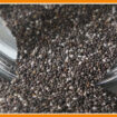 sorsi-di-benessere-–-semi-di-chia?-ecco-come-gustarli-al-meglio