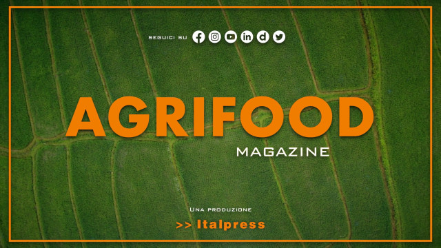 agrifood-magazine-–-6/9/2023