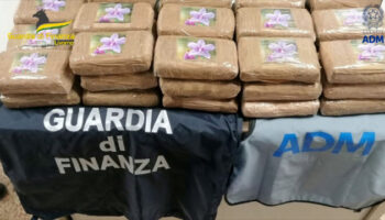 livorno,-sequestrati-48,5-kg-di-cocaina-provenienti-dal-sud-america