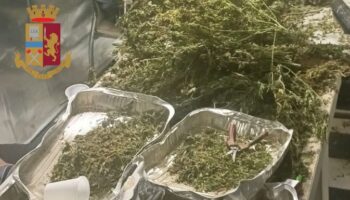 sequestrati-97-chili-di-droga-ad-anzio,-otto-arresti