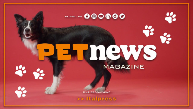 petnews-magazine-–-12/9/2023