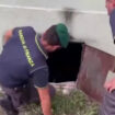 nuovo-blitz-al-parco-verde-di-caivano,-sequestrate-armi-e-droga