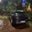 maltempo-a-milano,-allagamenti-e-alberi-caduti.-30-interventi-dei-vvf
