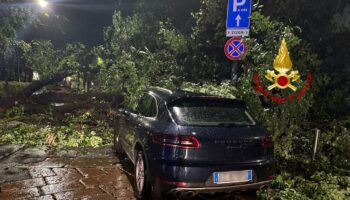 maltempo-a-milano,-allagamenti-e-alberi-caduti.-30-interventi-dei-vvf