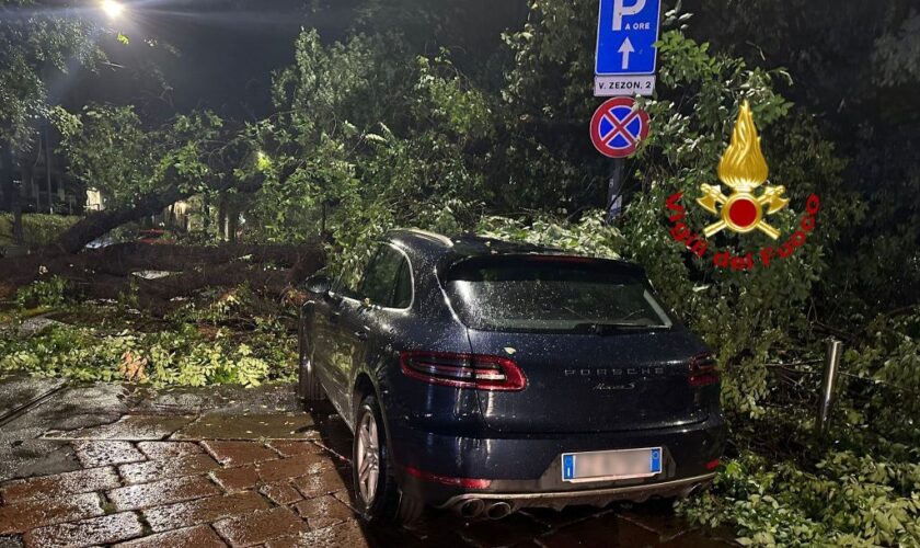 maltempo-a-milano,-allagamenti-e-alberi-caduti.-30-interventi-dei-vvf