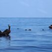 emergenza-a-lampedusa,-nell’hotspot-3800-migranti-mentre-proseguono-gli-sbarchi