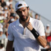 berrettini-in-panchina-a-bologna-per-sostenere-azzurri-in-coppa-davis