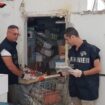 locali-al-setaccio-per-carenze-igieniche,-sanzioni-per-165-mila-euro
