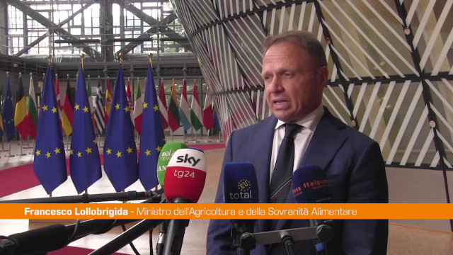 agricoltura,-lollobrigida-“ue-difenda-asset-strategico”