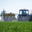 le-imprese-agroalimentari-accelerano-su-green-e-tecnologia