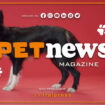 petnews-magazine-–-19/9/2023