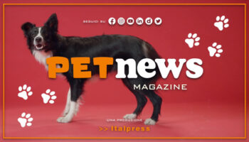 petnews-magazine-–-19/9/2023