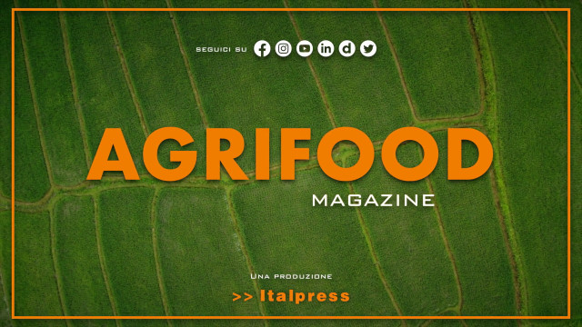 agrifood-magazine-–-20/9/2023