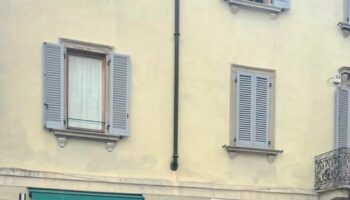 monza,-con-morso-stacca-pezzo-orecchio-a-padrone-cane.-indagato-20enne