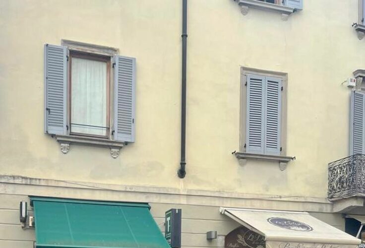 monza,-con-morso-stacca-pezzo-orecchio-a-padrone-cane.-indagato-20enne