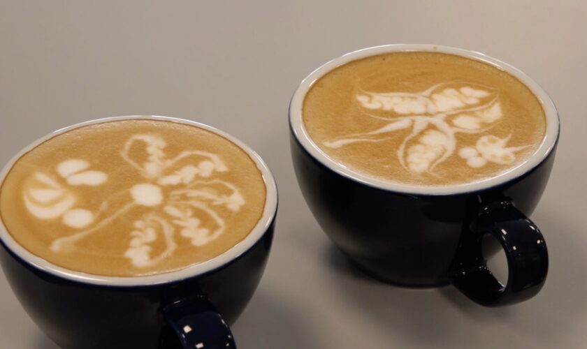 ai-campionati-di-latte-art-approdano-le-bevande-vegetali