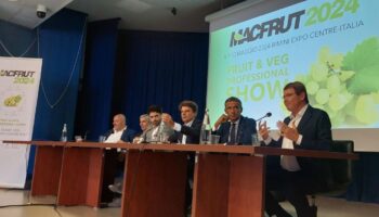 puglia-regione-partner-di-macfrut-2024,-uva-da-tavola-prodotto-simbolo