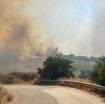 tenta-di-salvare-i-cavalli-dalle-fiamme,-morta-una-donna-a-cefalu