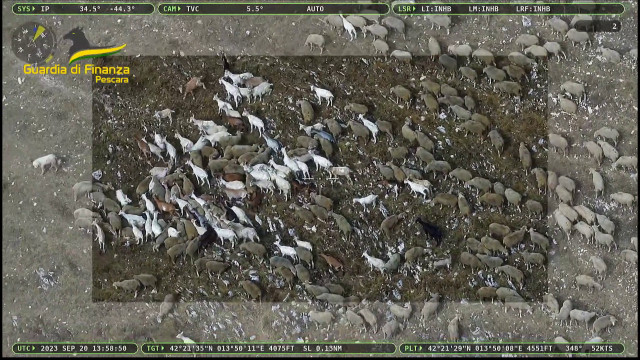 pascoli-fantasma,-truffa-per-5-milioni-all’unione-europea