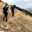 maxi-truffa-all’ue-per-“pascoli-fantasma”,-arresti-e-sequestri