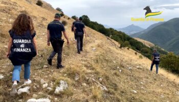 maxi-truffa-all’ue-per-“pascoli-fantasma”,-arresti-e-sequestri