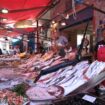 “sicilia-stupisci”,-un-viaggio-tra-storie-di-mare,-reti-e-sapori-antichi