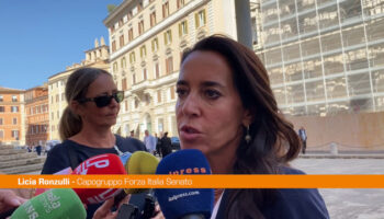 ronzulli-“rimpasto-di-governo-non-all’ordine-del-giorno”