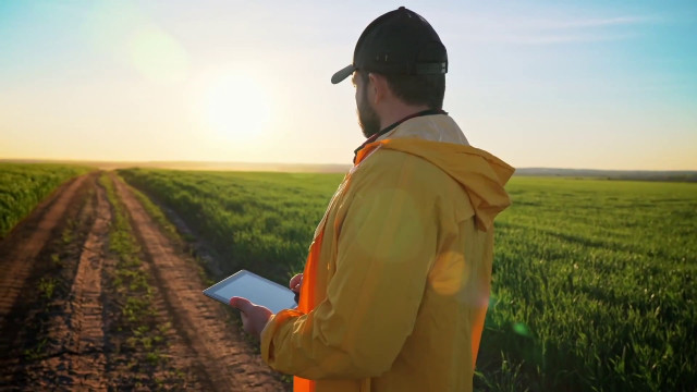 la-crisi-del-clima-sta-devastando-l’agricoltura