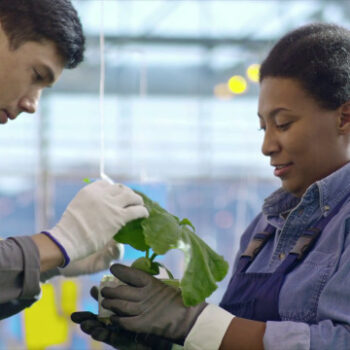 agrofarmaci-negli-alimenti,-l’italia-un-modello-in-europa