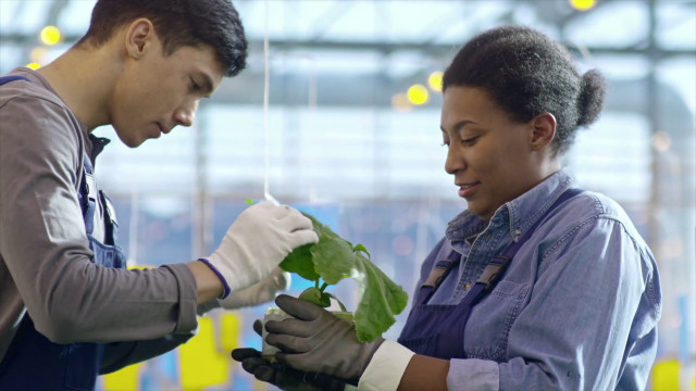 agrofarmaci-negli-alimenti,-l’italia-un-modello-in-europa