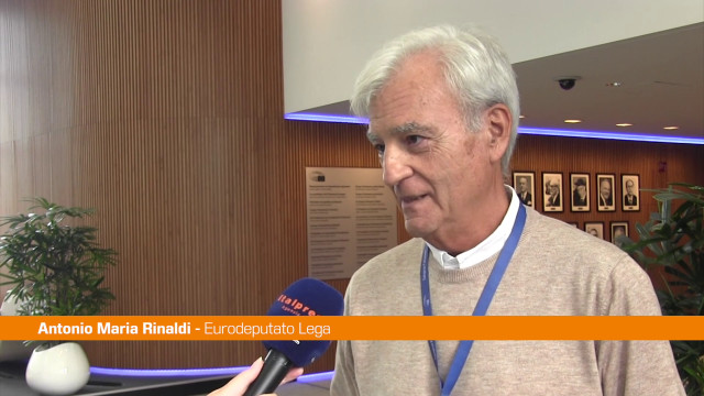 bce,-rinaldi-“grave-errore-alzare-ancora-i-tassi”