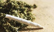 quella-marijuana-‘made-in-sardinia’-che-non-piaceva-ai-clienti