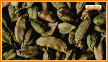 sorsi-di-benessere-–-una-tisana-dopo-pasto-che-favorisce-la-digestione