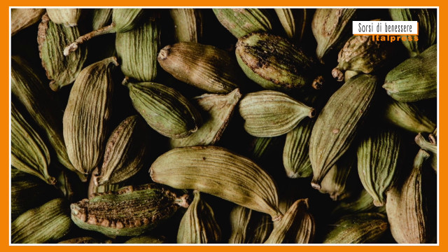 sorsi-di-benessere-–-una-tisana-dopo-pasto-che-favorisce-la-digestione